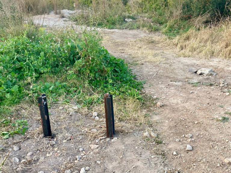Los actos de vandalismo han sido "premeditados" y han generado considerables perjuicios en las fincas, situadas entre los municipios de Almenara y La Llosa.