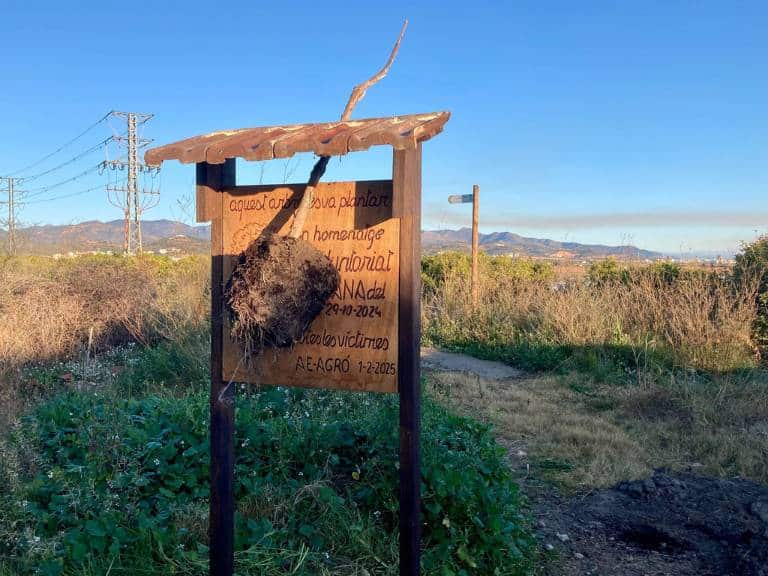 Los actos de vandalismo han sido "premeditados" y han generado considerables perjuicios en las fincas, situadas entre los municipios de Almenara y La Llosa.