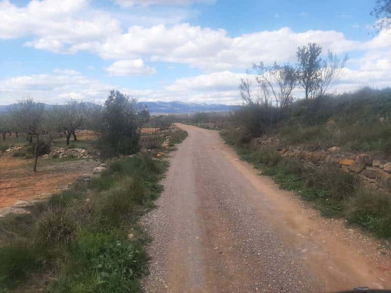 Entre los caminos reparados se encuentran el camí Barranc de Saura, el camí Fontanelles, accesos a ganaderías taurinas y el camí Benlloc, que antes era inaccesible para los vecinos.