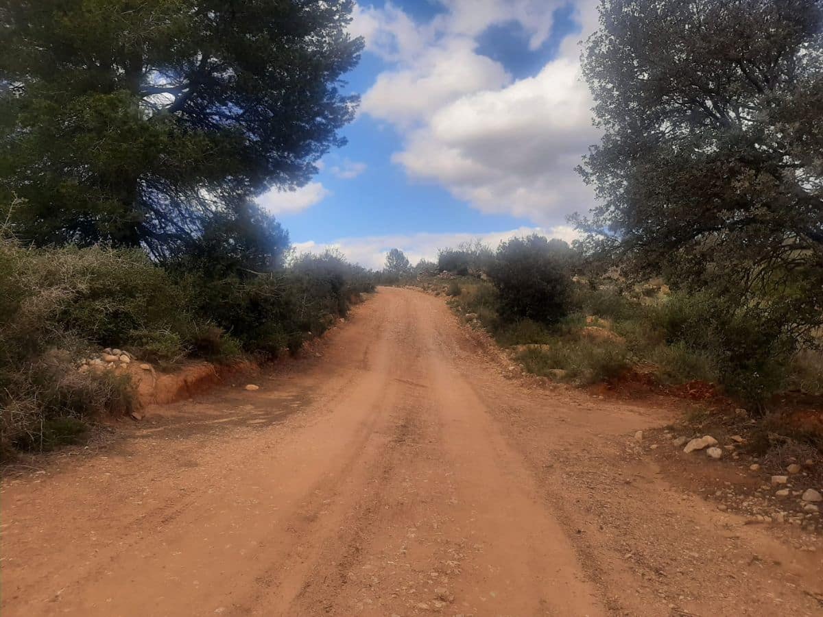 Cabanes repara un total de 26 caminos rurales dañados por la DANA