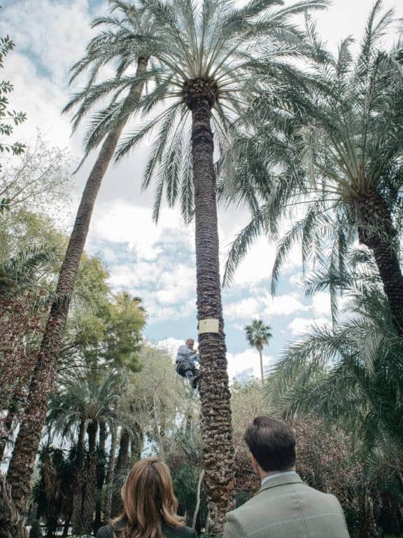 Elche y Castellón, más unidas que nunca con un homenaje inolvidable en un entorno declarado Patrimonio Mundial por la UNESCO.