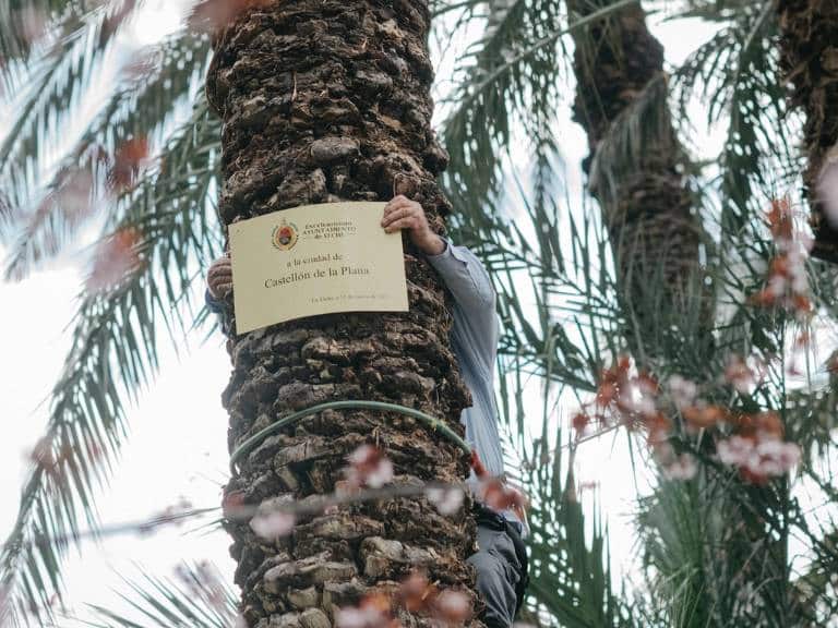 Elche y Castellón, más unidas que nunca con un homenaje inolvidable en un entorno declarado Patrimonio Mundial por la UNESCO.