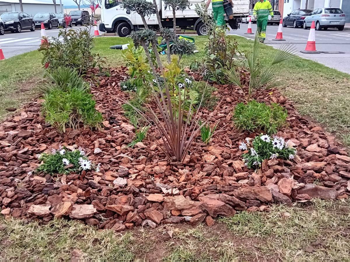 Escoleta de Pascua 2025 en plena renaturalización de Burriana