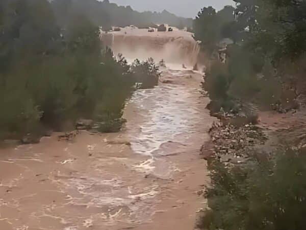 Intervenciones de los bomberos en Castellón por las fuertes lluvias
