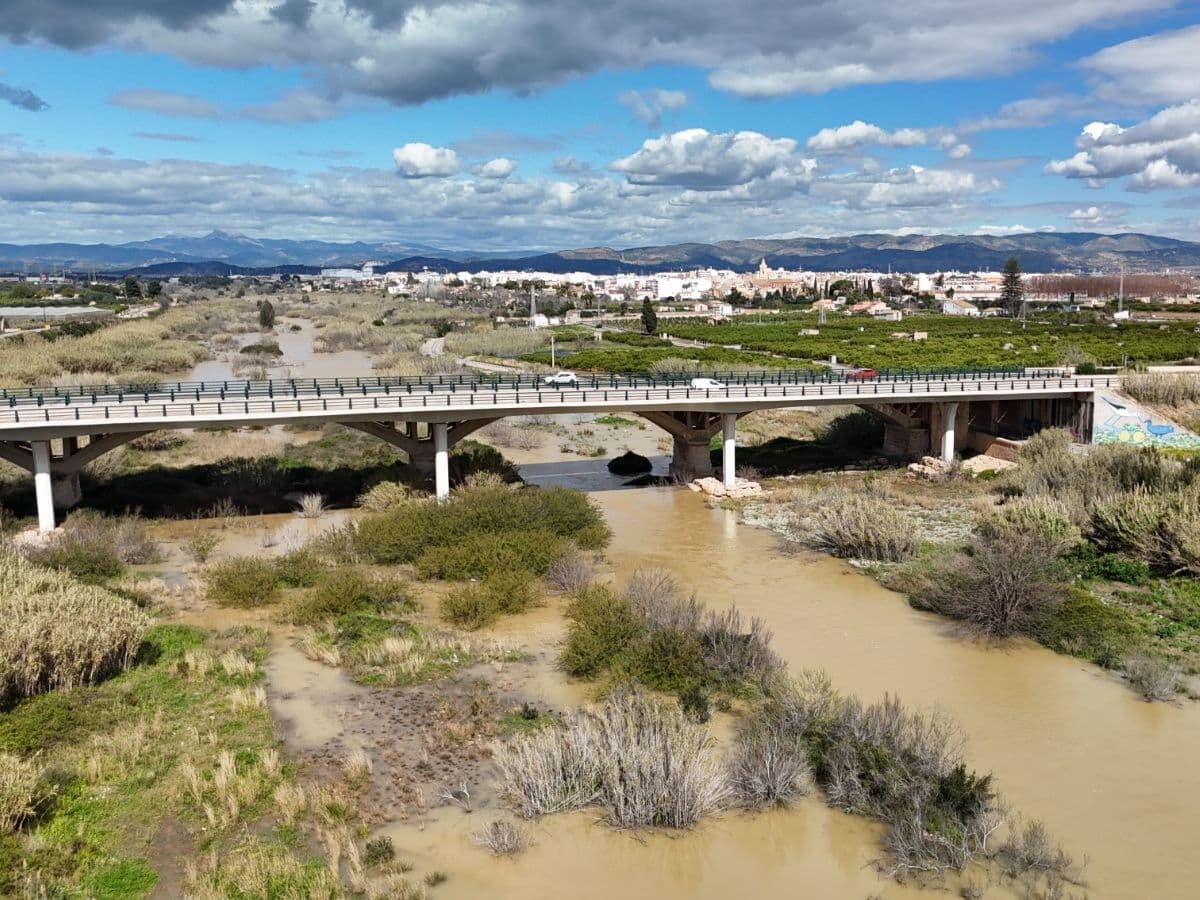La limpieza de cañas en la desembocadura del Millars se realizará una vez pase el verano