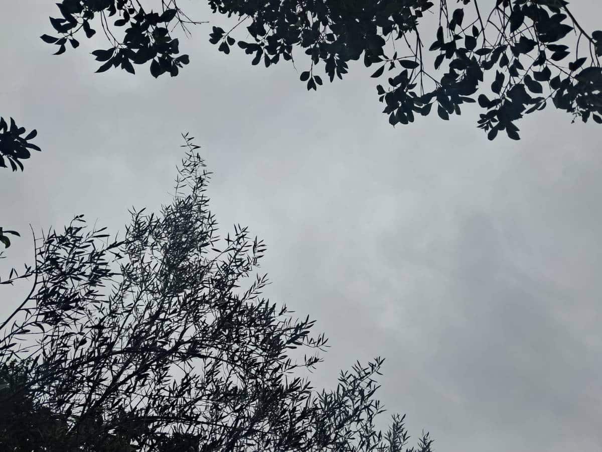 Llega la primavera con cielo nuboso, lluvias débiles y viento moderado