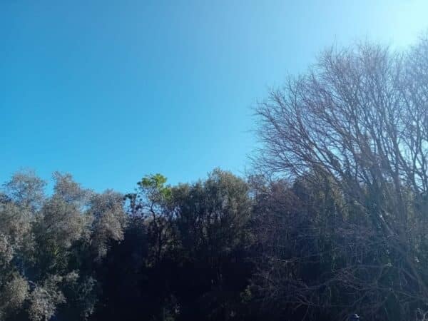 Marzo se despide con fuertes vientos en la provincia de Castellón