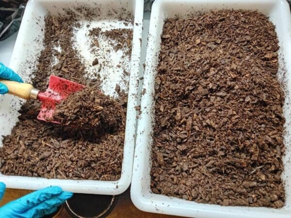 Nuevo proyecto de Ivace+i convierte purines en recursos sostenibles