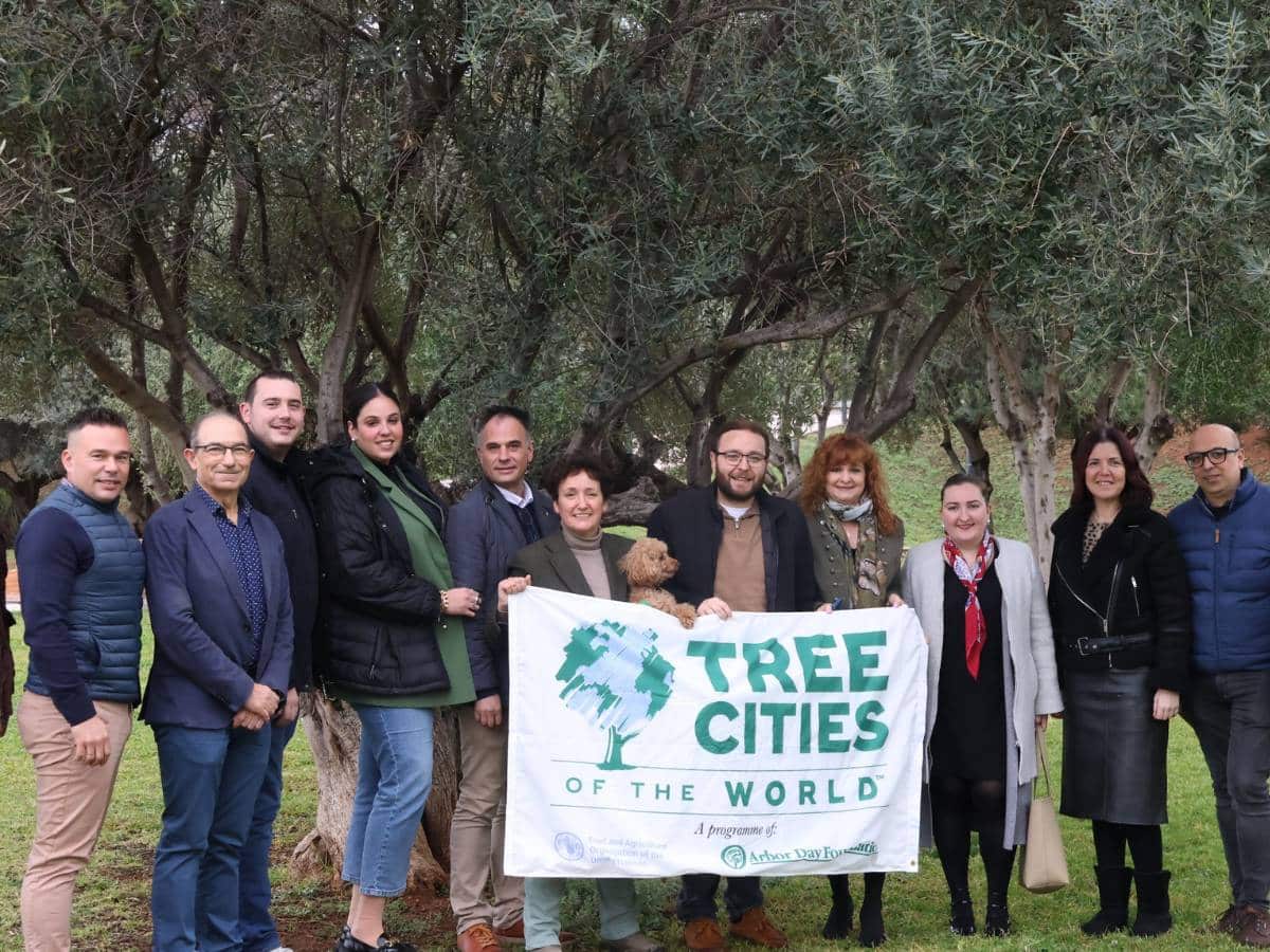 Onda renueva su título como Ciudad Mundial del Árbol por tercer año consecutivo
