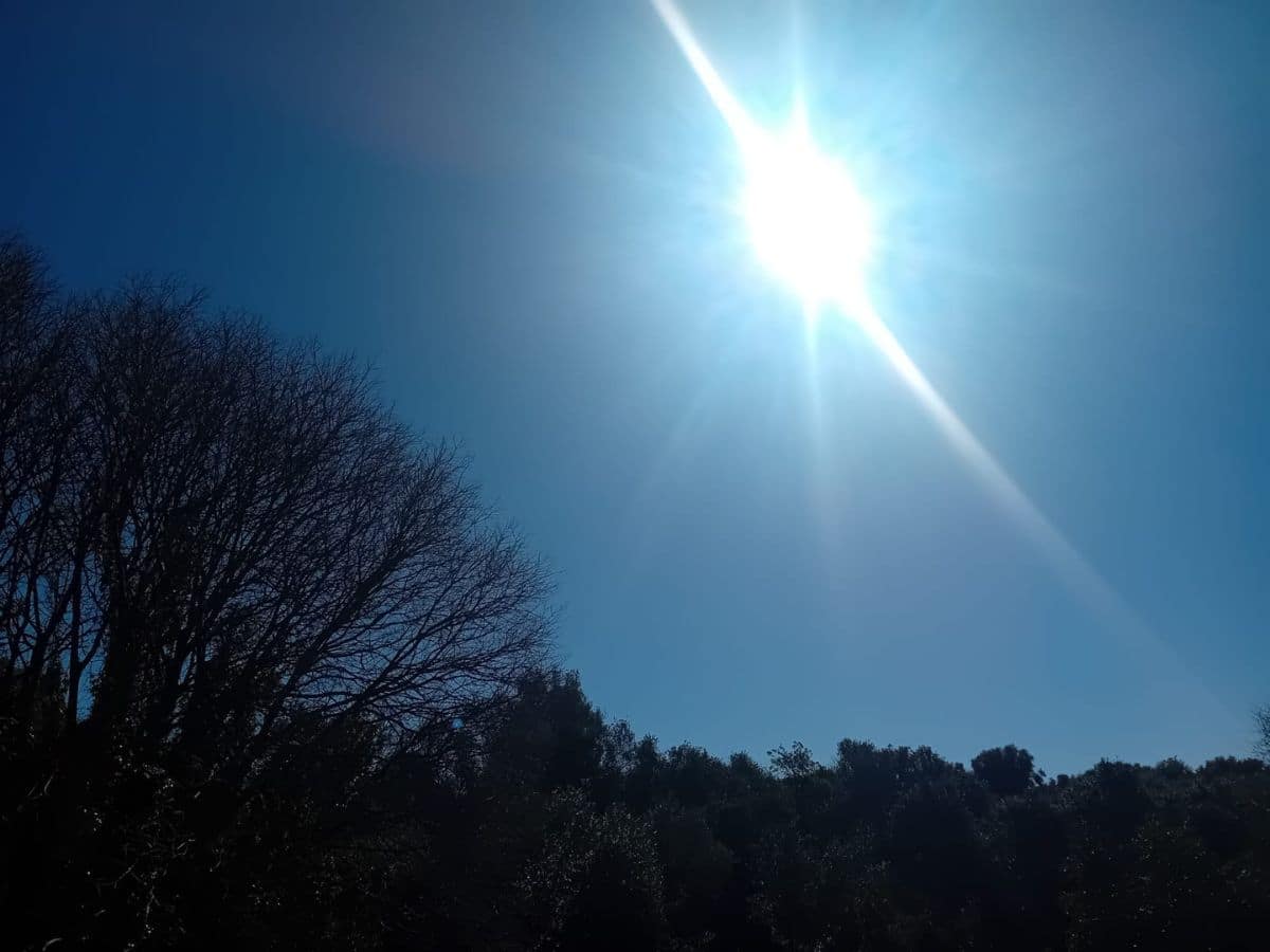 Sábado soleado en Castellón con fuertes vientos en el interior