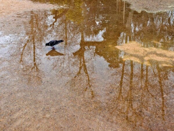 Se desactivan las alertas por lluvias y nevadas en Castellón