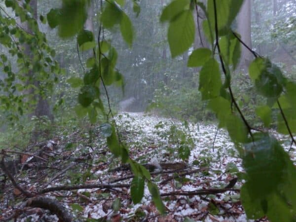 Alerta amarilla por lluvias, tormentas, fuertes vientos y granizo Alerta amarilla por lluvias, tormentas, fuertes vientos y granizo