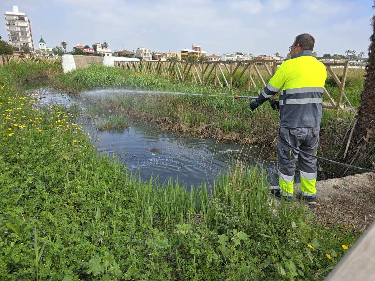 Burriana refuerza los tratamientos contra mosquitos con la llegada del calor