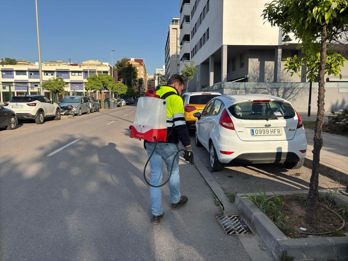 Castellón intensifica los trabajos de control de las plagas de mosquitos