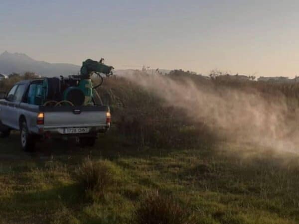 Control de mosquitos en la Marjalería y el Grao de Castellón para combatir plagas