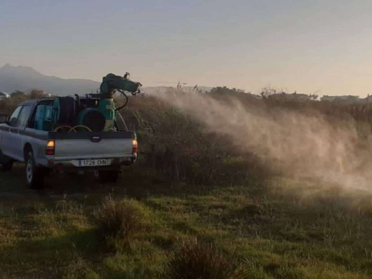 Control de mosquitos en la Marjalería y el Grao de Castellón para combatir plagas