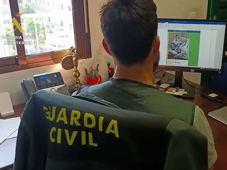 La Guardia Civil de Valencia ha detenido a dos personas que vendían a nivel internacional diferentes especies de animales a través de portales de internet