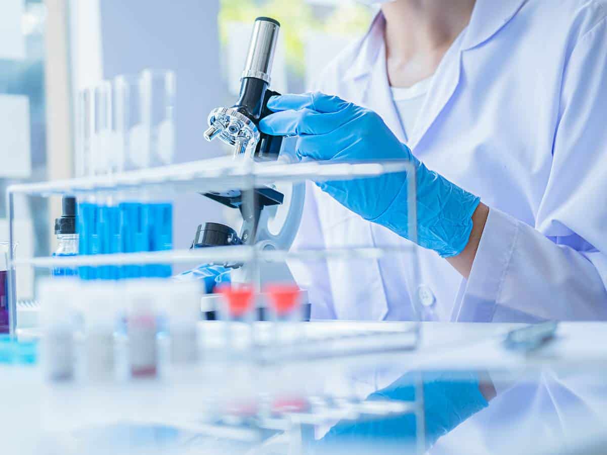 La UJI prueba moléculas que refuerzan la inmunidad y frenan el cáncer
