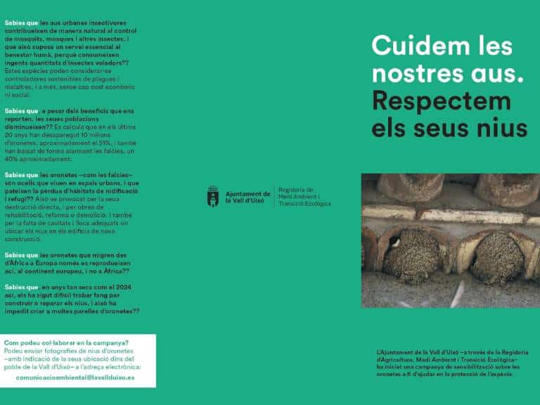 La destrucción de sus nidos puede conllevar multas que van desde los 5.000 hasta los 200.000 euros, e incluso penas de hasta dos años de prisión.