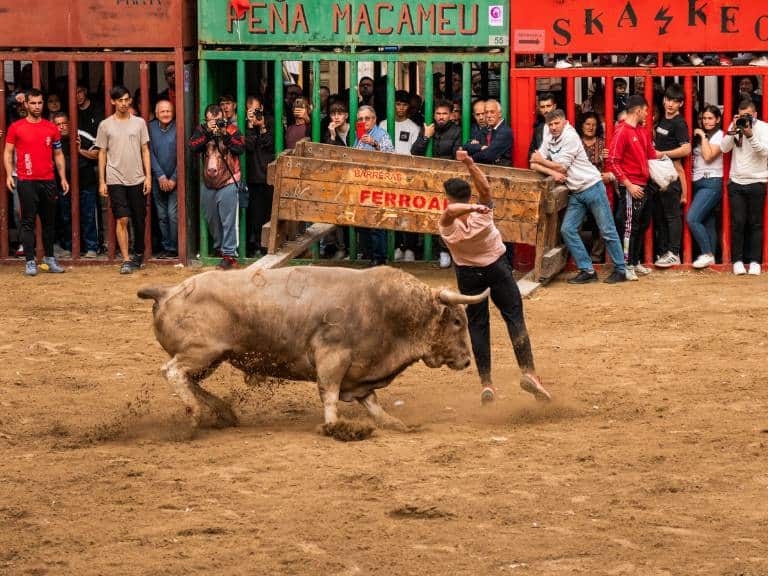 Hoy viernes arranca la fiesta con suelta de vaquillas, toros embolados y el Festival l'Alcora DJ's, además de la actuación del grupo Diverpool.