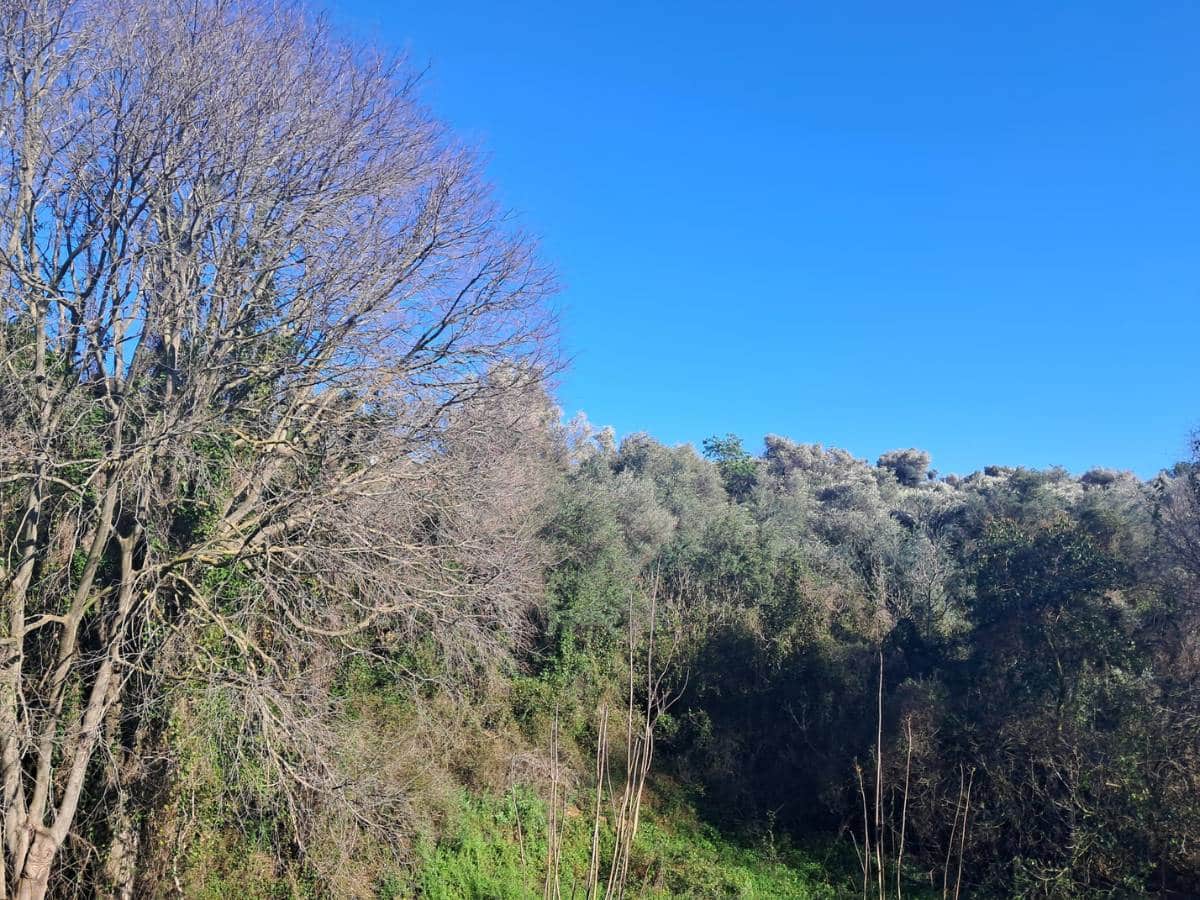 Rachas de viento muy fuertes en Castellón y temperaturas en ascenso