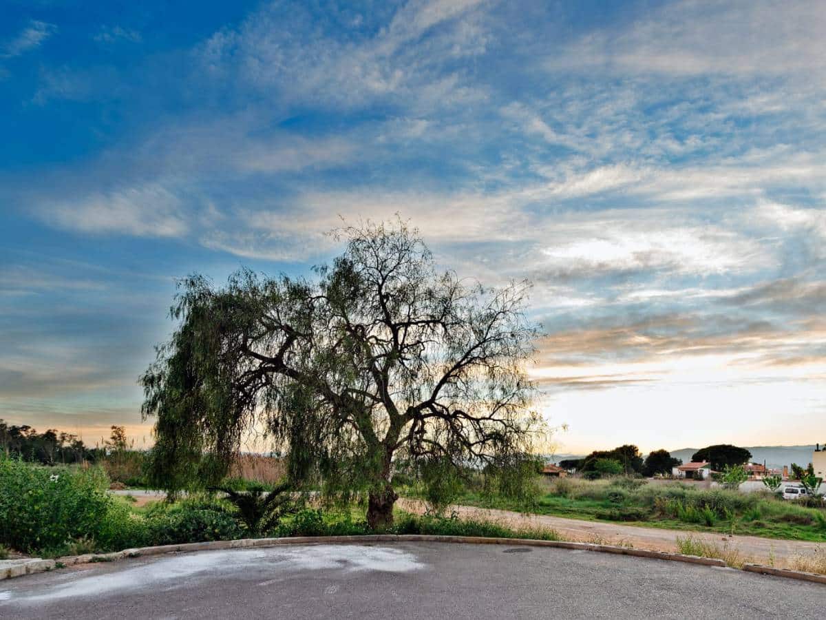 Sábado con fuertes rachas de viento y chubascos en Castellón