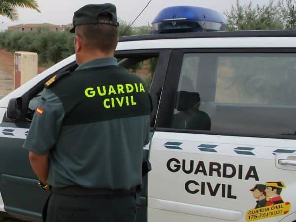 Buscan en Sant Mateu a la última vaca brava tras escaparse en La Salzadella