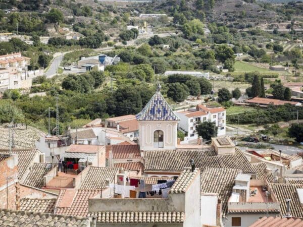 Cabras montesas por los tejados causan daños y miedo en un pueblo de Castellón