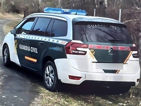 Capturan una de las vacas bravas escapadas y avistan otra en Sant Mateu, Castellón