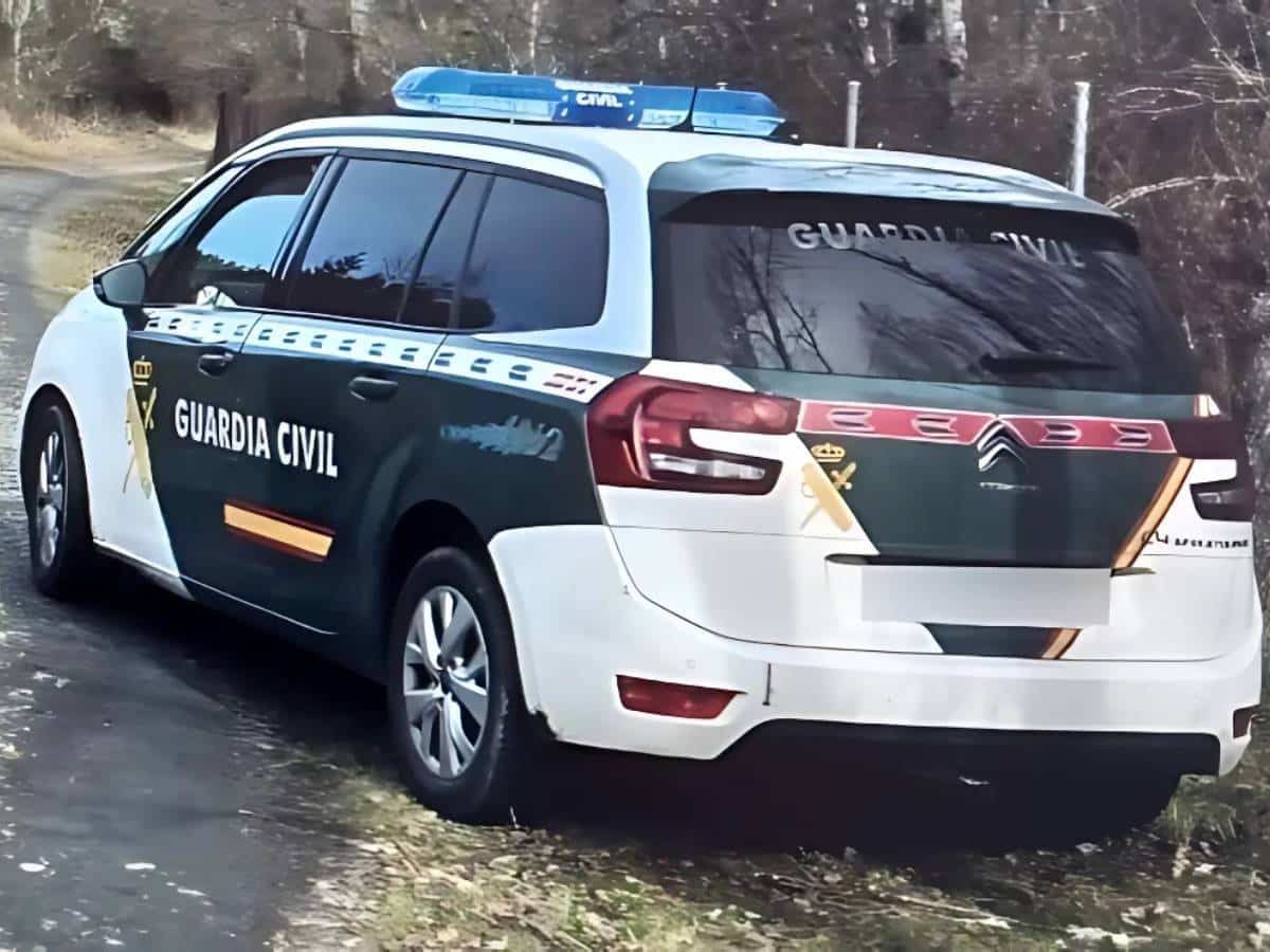 Capturan una de las vacas bravas escapadas y avistan otra en Sant Mateu, Castellón