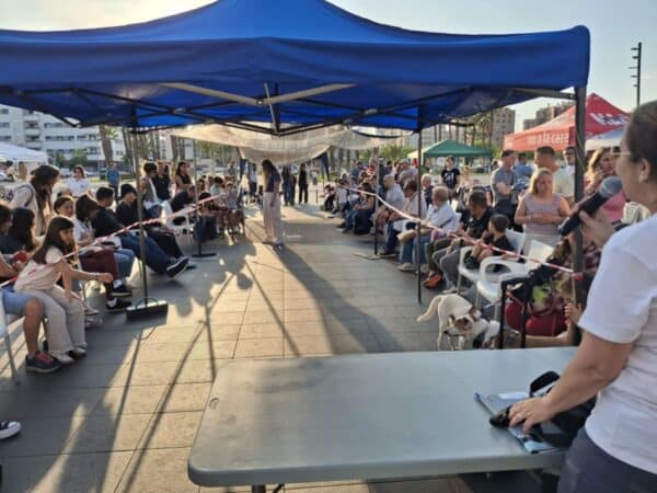Castellón se vuelca con los animales en su III Jornada de Adopción de Mascotas