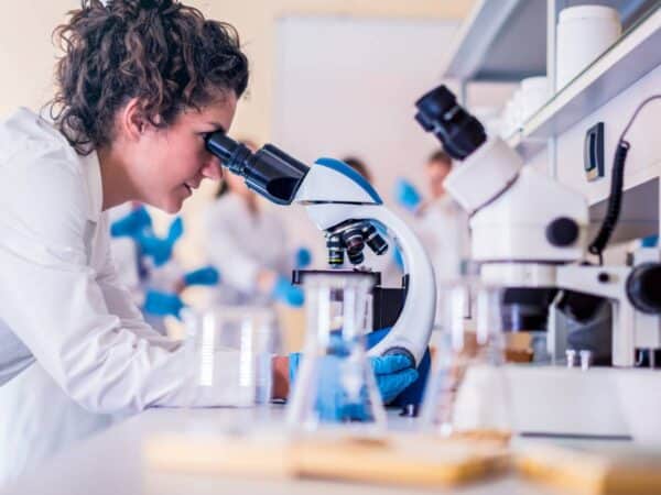 Científicos valencianos descubren moléculas contra la Malaria
