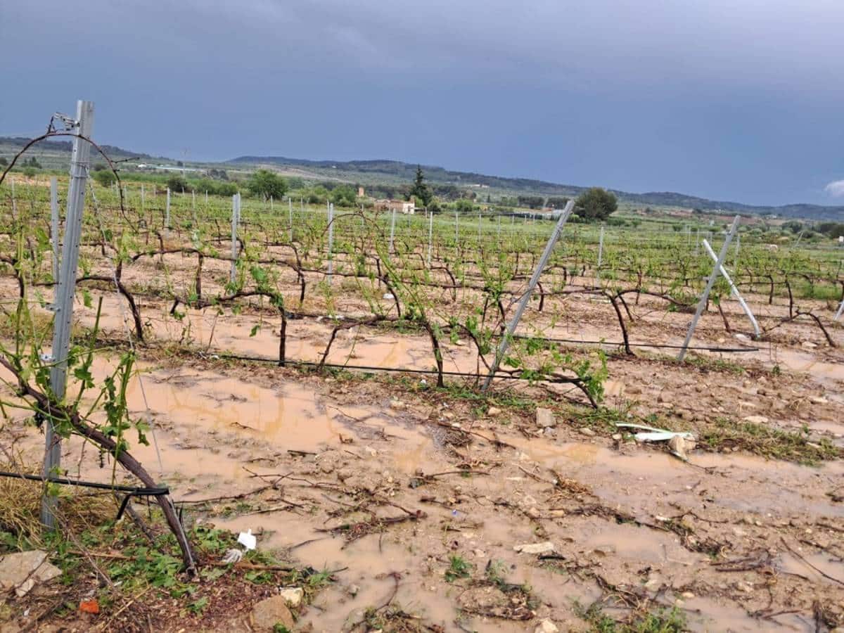 Daños millonarios por granizo en Castellón y Valencia