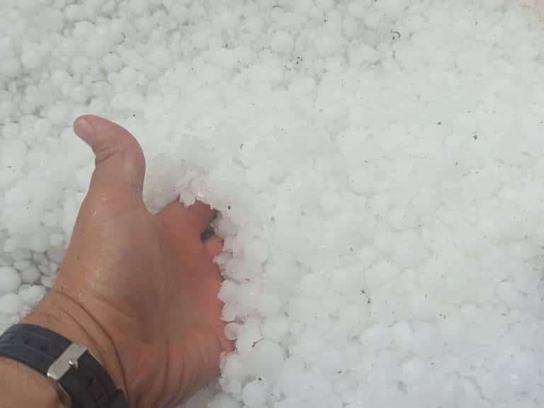 Este evento se suma a una serie de tormentas de granizo que han golpeado el campo valenciano en las últimas semanas.