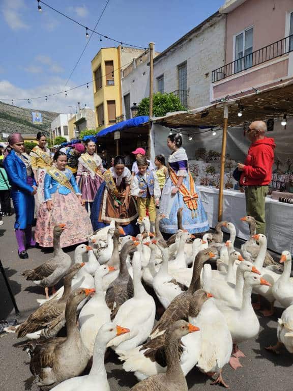 La Trobà d'Orpesa celebra su XXIII edición con más de 200 casetas y un viaje a las raíces del municipio.