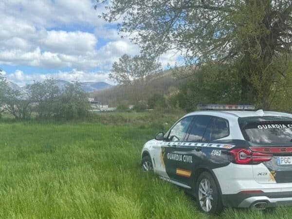 Guardia Civil intensifica la búsqueda de cuatro vacas desaparecidas en La Salzadella, Castellón