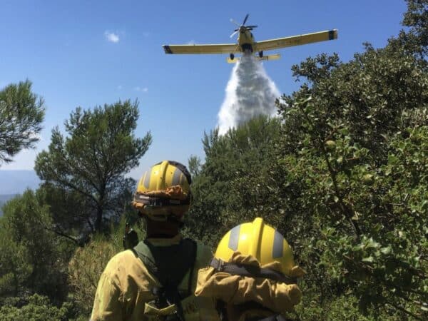 Declarado un incendio forestal en Borriol, Castellón