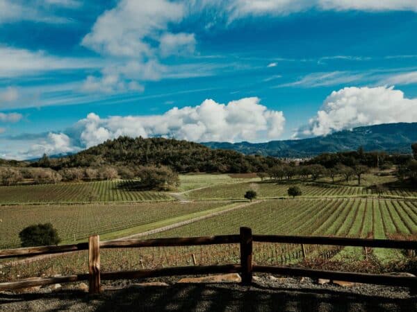 La Comunitat Valenciana aprueba rebajas fiscales para agricultores, bodegas y pescadores