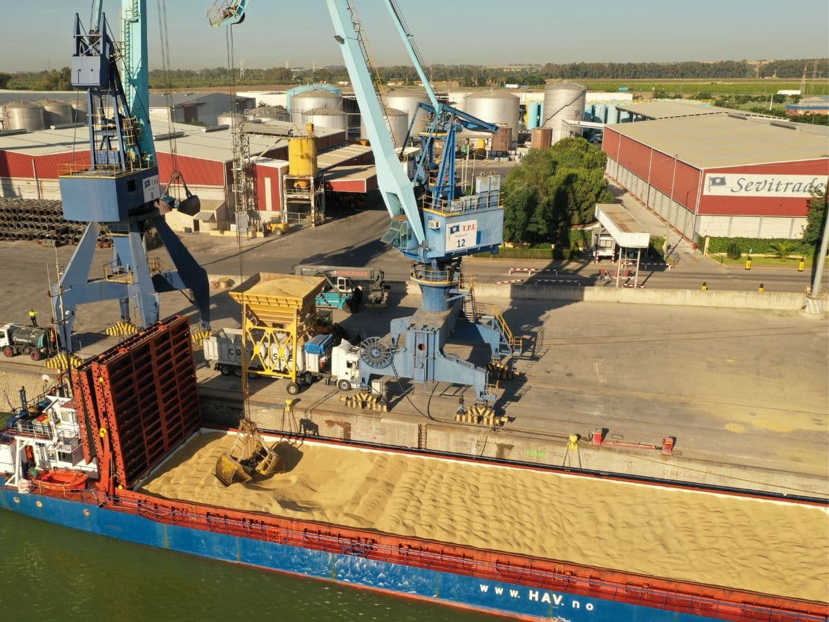 La empresa estibadora Sevitrade levantará una nueva terminal en el puerto de Castellón