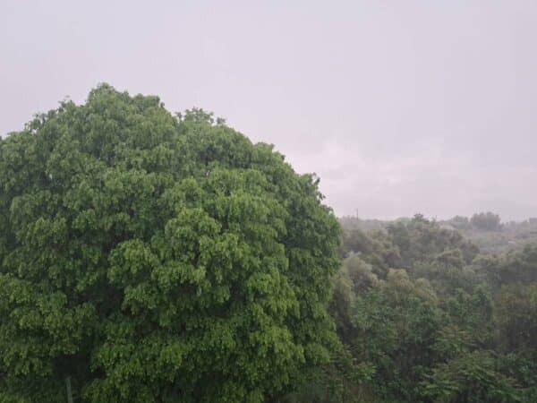 Lluvias de 56 l/m² en Castellón: Emergencias pide extremar las precauciones
