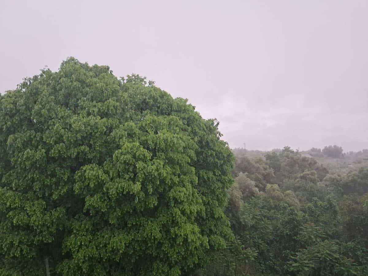 Lluvias de 56 l/m² en Castellón: Emergencias pide extremar las precauciones