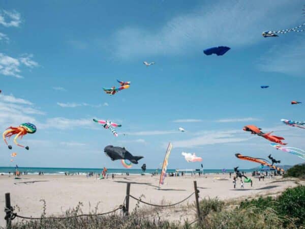 Programación completa Festival del Viento Castellón 2025
