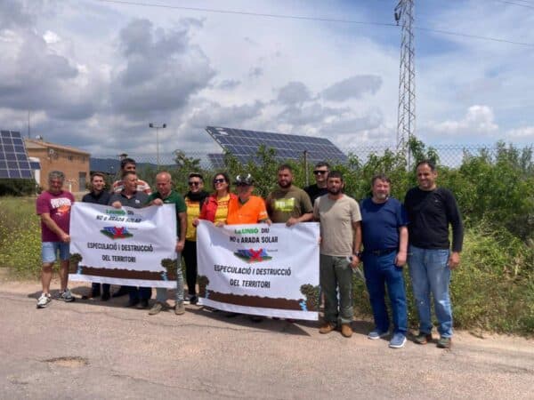 Protesta en Vall d’Uixó contra la planta fotovoltaica Arada Solar que amenaza 126.000 cítricos