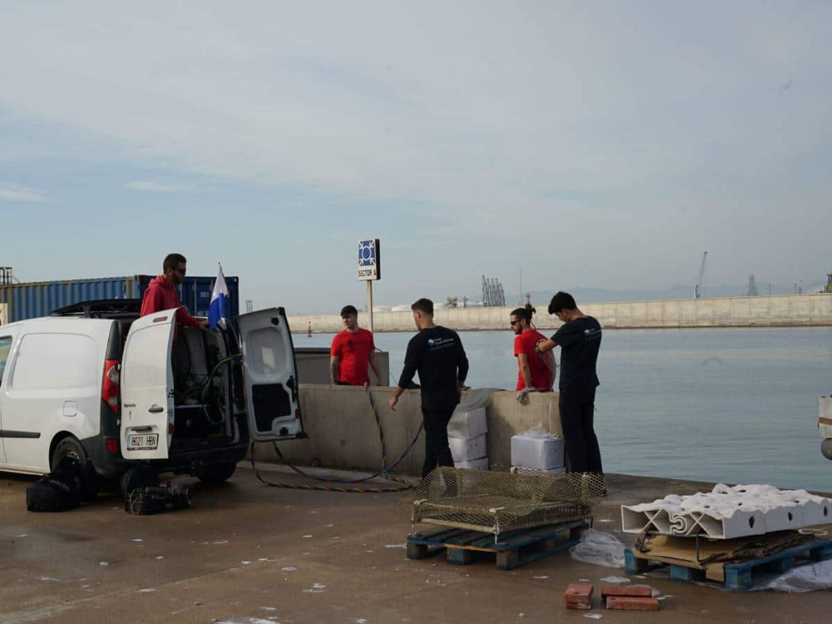 Recuperación de la vida marina en PortCastelló con estructuras subacuáticas